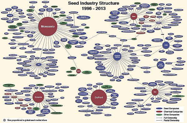 SeedIndustryStructure