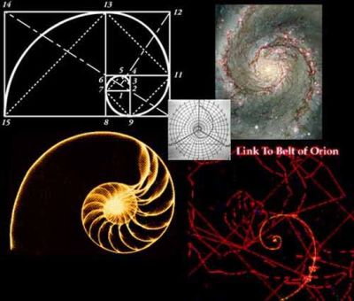The Golden Ratio can be seen from a Chambered Nautilus to a Spiraling Galaxy