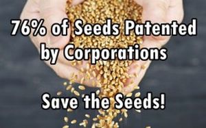 SeedsControlBy6Corps