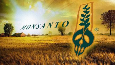 Monsanto_GMO1