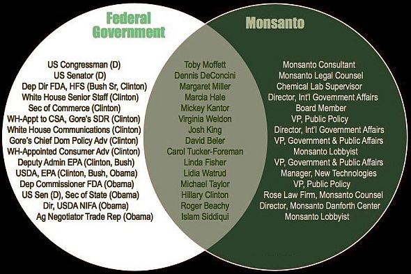 Ties between Government and Monsanto, the chemicals company responsible for DDT, PCBs, Bovine Growth Hormone (rBGH), Agent Orange, and now genetically modified (ie. patentable) “food” crops.