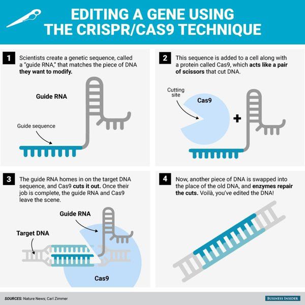 Genetic Editing