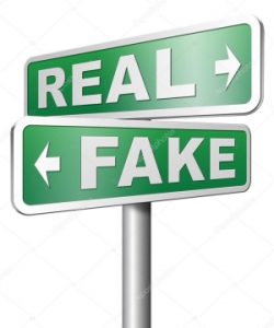 Our Fake, Fake, Fake World