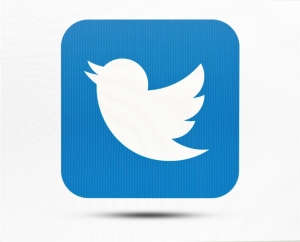 Twitter the twit