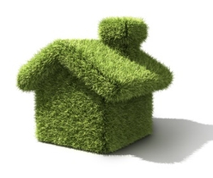 Why Going Green Is Ideal For Frugal Land Developers
