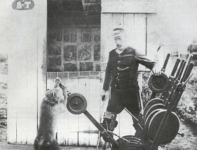 The Remarkable Story of Jack, the Baboon Signalman